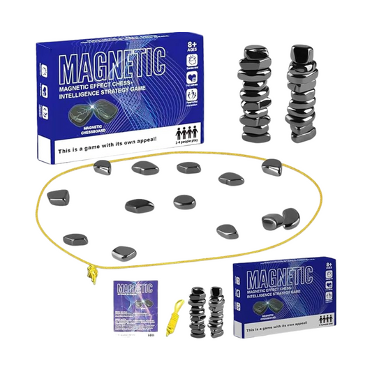 Magnet Chess Game